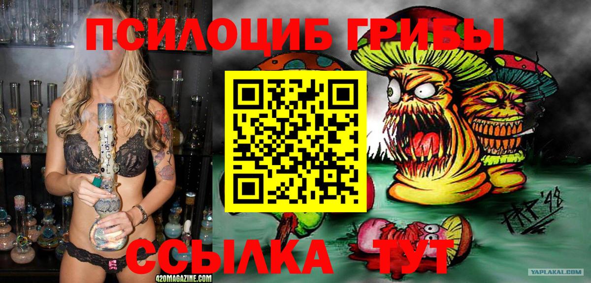 Ижевск  как найти закладки  Вход с VPN  Галлюциногенные грибы GOLDEN TEACHER  Псилоцибиновые грибы GOLDEN TEACHER 