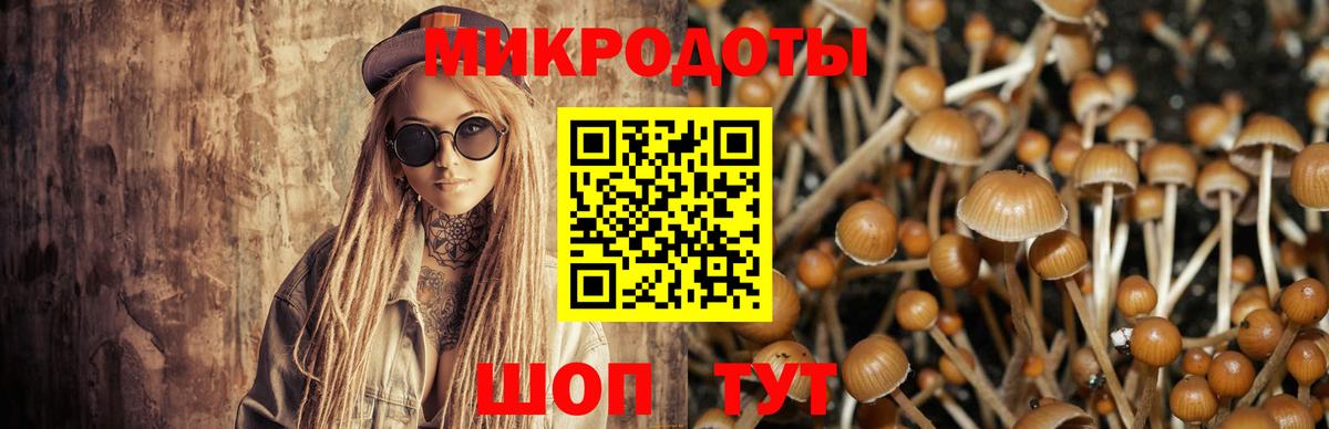 Галлюциногенные грибы ЛСД Ижевск